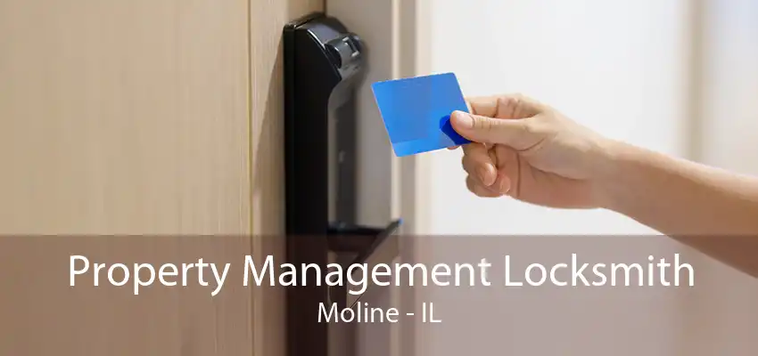 Property Management Locksmith Moline - IL