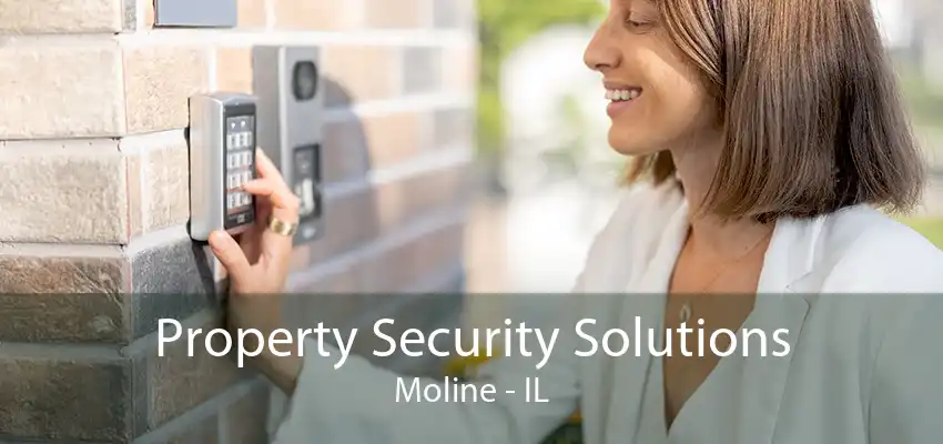 Property Security Solutions Moline - IL