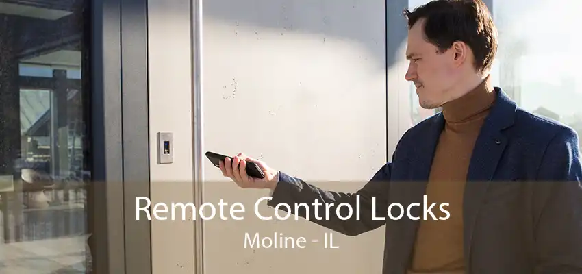 Remote Control Locks Moline - IL