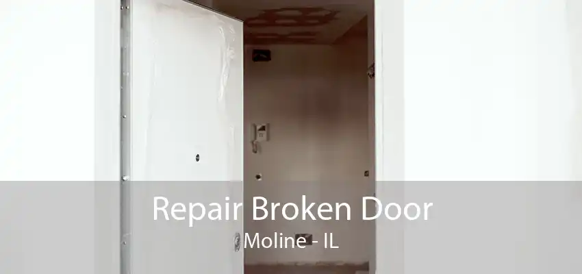 Repair Broken Door Moline - IL