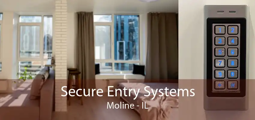 Secure Entry Systems Moline - IL