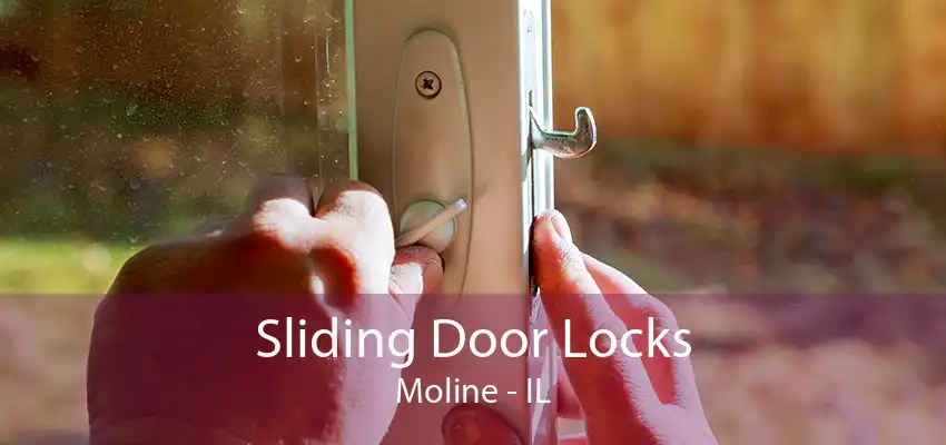 Sliding Door Locks Moline - IL