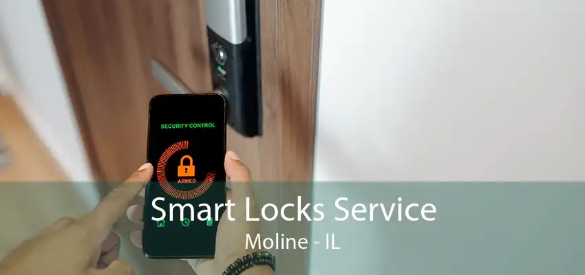 Smart Locks Service Moline - IL