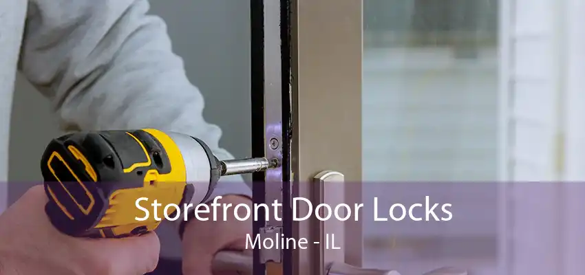 Storefront Door Locks Moline - IL