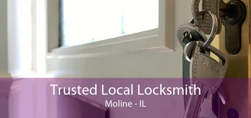 Trusted Local Locksmith Moline - IL