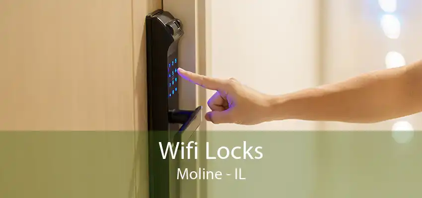 Wifi Locks Moline - IL