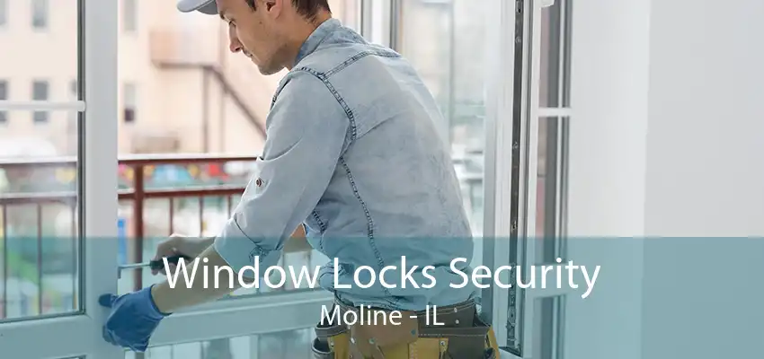 Window Locks Security Moline - IL